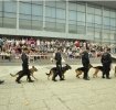 10-12 iunie - Demonstratii de dresaj la Petexpo!