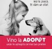 La ADOPeT te asteapta noi prieteni si noi surprize!