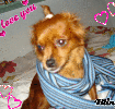 leidy