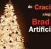 Tu ce brad iti iei de Craciun?