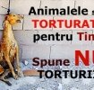 Spune NU hainelor de blana si cosmeticelor testate pe animale!